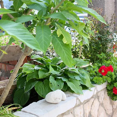 By The Sea Sobra, Mljet - 4889 *