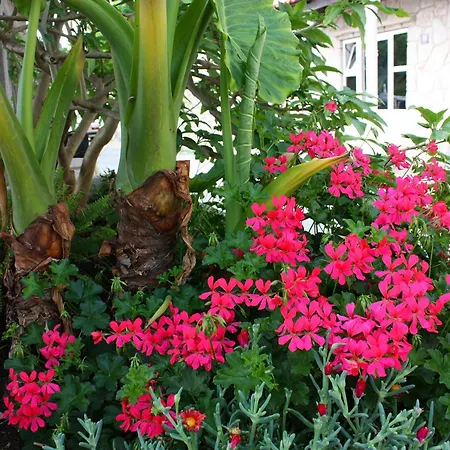 By The Sea Sobra, Mljet - 4889 Appartamento