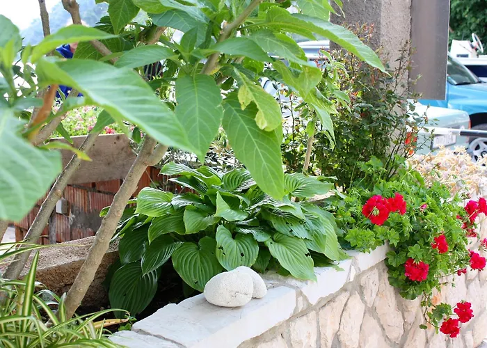 By The Sea Sobra, Mljet - 4889 *