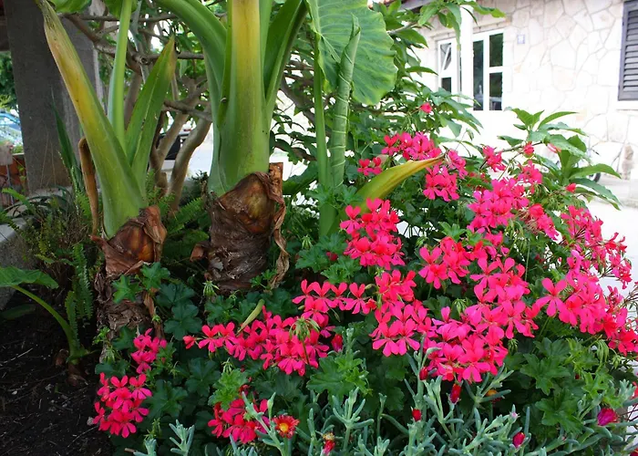 By The Sea Sobra, Mljet - 4889 Appartamento